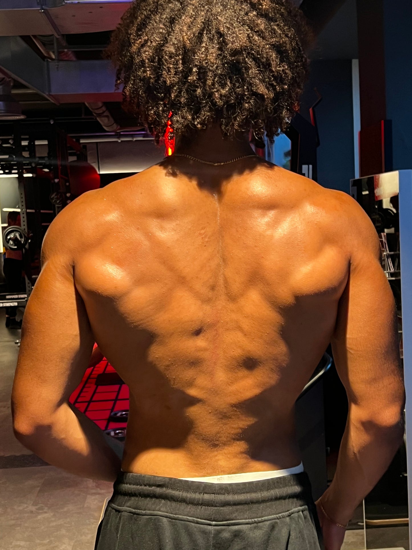 The Ultimate Lean Gains Program